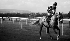 在线轰炸电话网页版