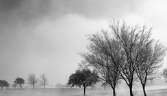 【试用版】评估的虚拟号码手机号发送平台