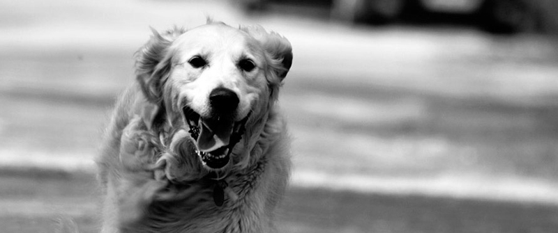 不花钱能用的短信测压工具